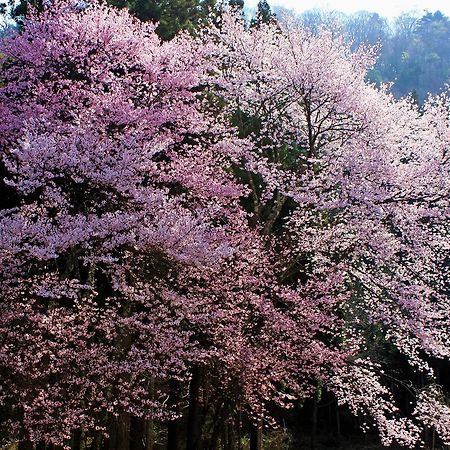 Aizu Astraea Hotel 南会津町 エクステリア 写真